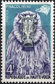 Warthog