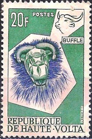 African buffalo