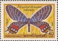 Bhutan Glory (Bhutanitis lidderdalei)