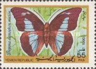 One-spotted Prepona (Prepona dremophon)