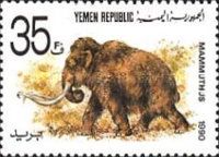 Mammmoth (Mammuthus sp.)