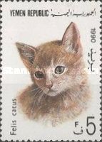 Domestic Cat (Felis silvestris catus)