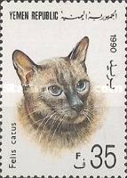 Domestic Cat (Felis silvestris catus)