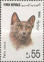 Domestic Cat (Felis silvestris catus)