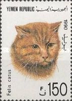 Domestic Cat (Felis silvestris catus)