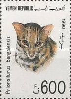 Leopard Cat (Prionailurus bengalensis)