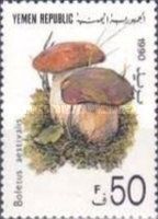 Boletus aestivalis