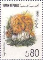 Gyromitra esculenta