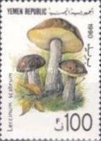 Leccinum scabrum