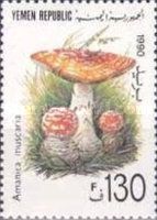 Amanita muscaria