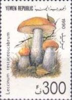 Leccinum testaceoscabrum