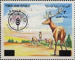 Deer