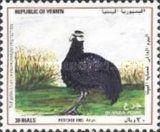 Helmeted Guineafowl (Numida meleagris)