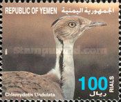 Houbara Bustard (Chlamydotis undulata)