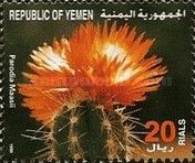 Parodia maasii