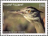 Arabian bustard (Ardeotis arabs)