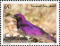 Violet-backed starling (Cinnyricinclus leucogaster)