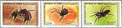Latrodectus hystrix