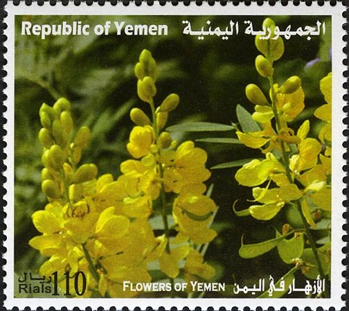 Flowers of Yemen