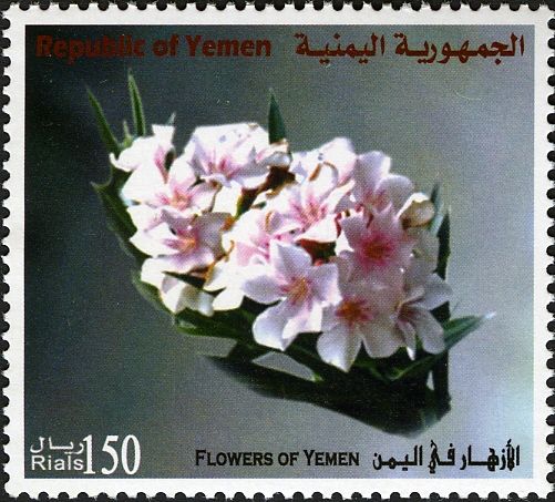 Flowers of Yemen