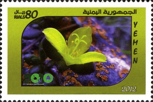 Biodiversity in Yemen
