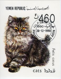 Persian Cat (Felis catus)