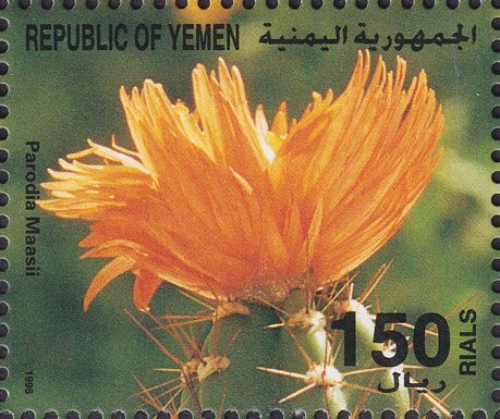 Parodia maasii