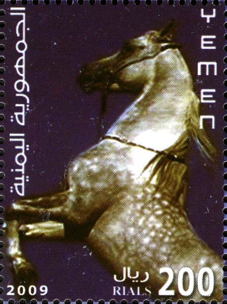 Yemen Horse (Equus ferus caballus)