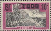 Coconut Plantation