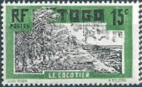 Coconut Plantation