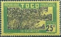 Cocoa Plantation