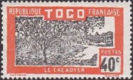 Cocoa Plantation