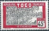 Cocoa Plantation