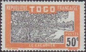 Cocoa Plantation