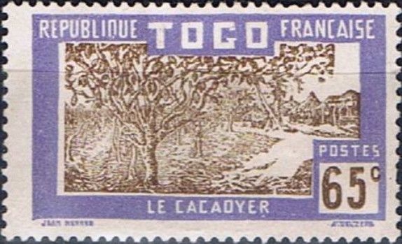 Cocoa Plantation