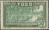 Cocoa Plantation
