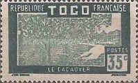 Cocoa Plantation