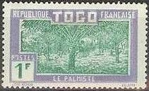 Oil Palm Plantation
