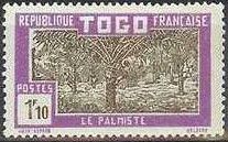 Oil Palm Plantation