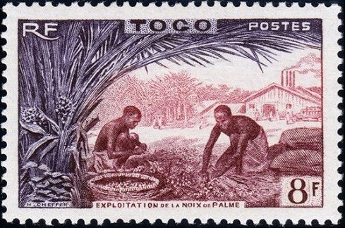 Palm nut processing