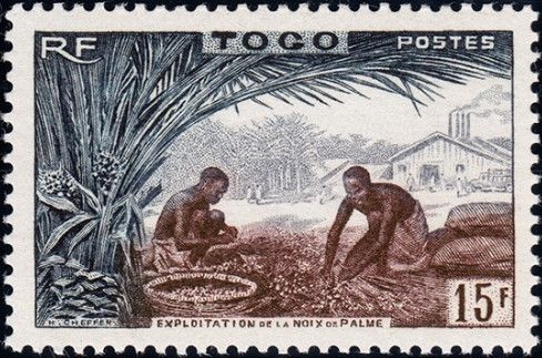 Palm nut processing