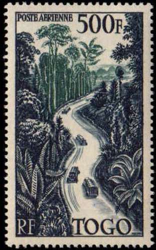 Jungle road
