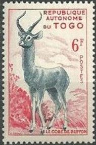 Kob (Kobus kob)