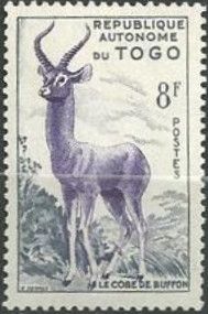 Kob (Kobus kob)