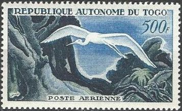 Great Egret (Casmerodius albus)