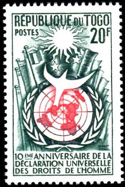 UN badge with flag
