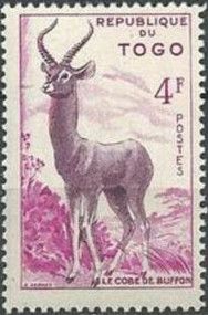 Kob (Kobus kob)
