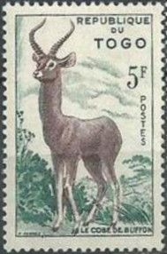Kob (Kobus kob)