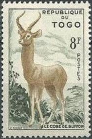 Kob (Kobus kob)