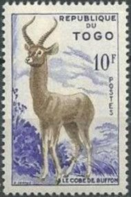 Kob (Kobus kob)